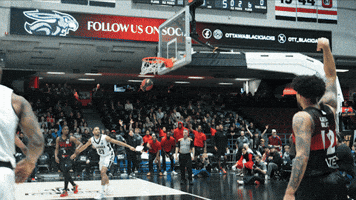 Canadian Elite Basketball League GIF