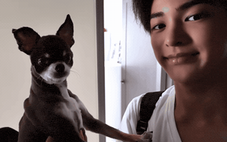 Cortis GIF