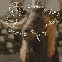 Confused Formula GIF by Velkopopovický Kozel