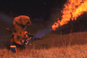 Screaming Flame Thrower GIF by ENSI Screaming Flame Thrower GIF by ENSI