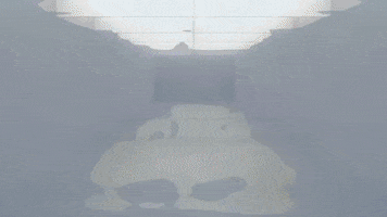 GIF by Company XIV