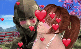 Dead Or Alive Doa GIF