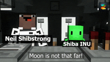 Shiba Inu GIF by Zion
