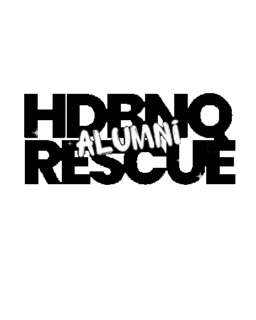 Alumni Gotcha Day Sticker by HDBnQ Rescue