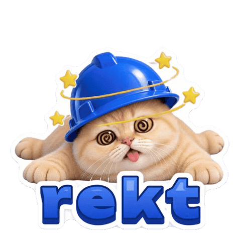 Cat Oops Sticker by Basecat