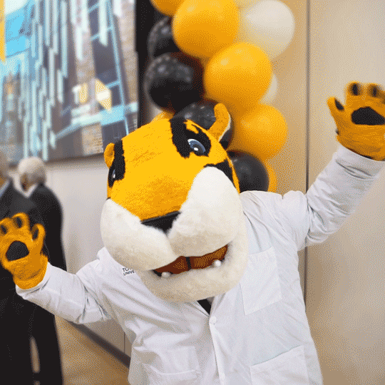 Happy Dance GIF by Towson University