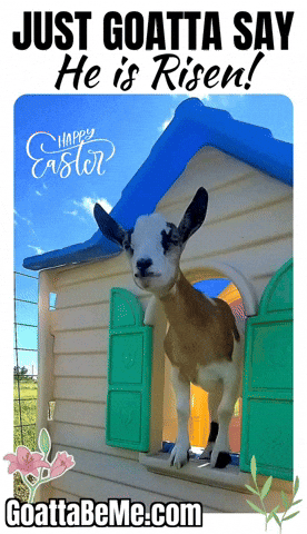 He Has Risen Happy Easter GIF by Goatta Be Me Goats! Adventures of Java, Toffee, Pumpkin and Cookie!