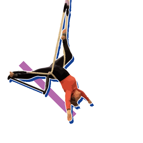 Cirque Circuslife Sticker by CT Aerial Yoga