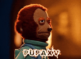 Monkey Puppet Staring GIF