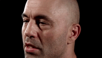 The Rock Eyebrows GIF by Vanessa Van Edwards - Find & Share on GIPHY