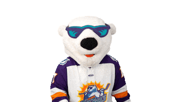 No Way Hockey Sticker by Orlando Solar Bears