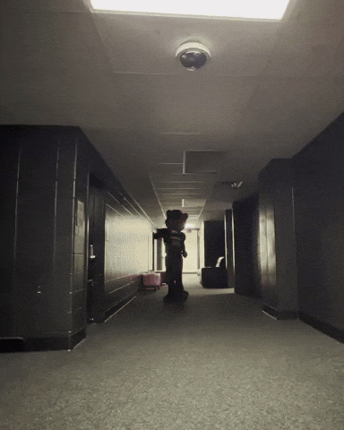 Get A Load Of This What GIF by Bearcat