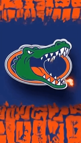 Florida GIF