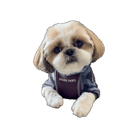 Roku Sticker