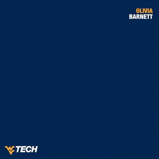 Softball GIF by WVU Tech Golden Bears