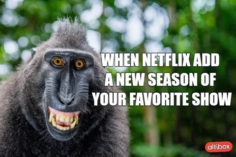 Streaming Services Netflix GIF