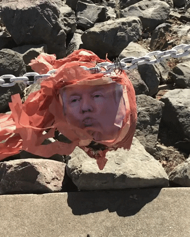 Orangebuffoon GIF