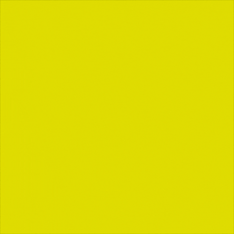 Womens Rights Girls GIF by INTO ACTION - Find & Share on GIPHY