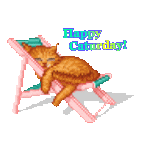 Happy Caturday Sticker