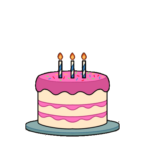 Happy Birthday Wow Sticker by StikBot