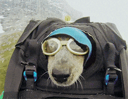 extreme go pro GIF by HuffPost