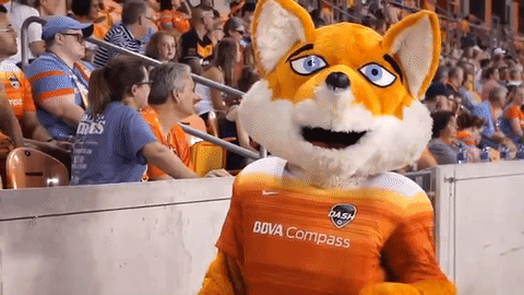 Football Soccer GIF by Houston Dash - Find & Share on GIPHY