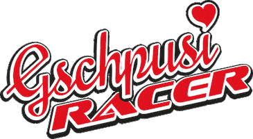 Racer Sticker by Gschpusi