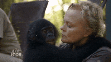 france-3  GIF