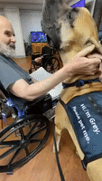 Great Dane Therapy Dog Brings Joy at Pittsburgh Care Facilities