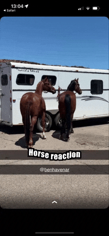 Davidbarnez GIF