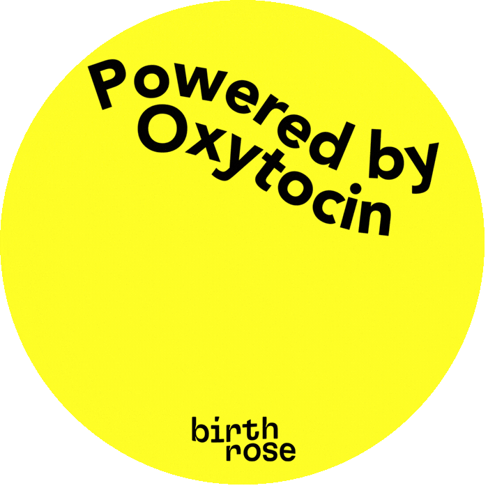 Baby Doula Sticker by BirthRose