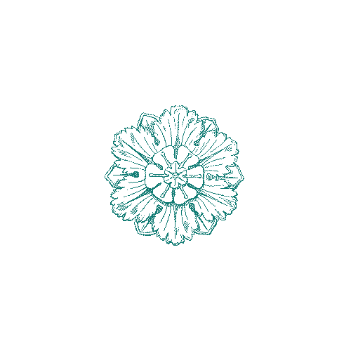 Kiara Dubai Sticker