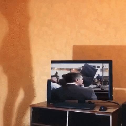 Зеленський GIF