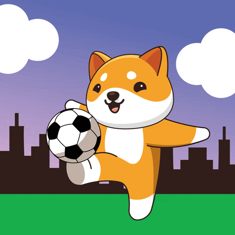 Happy Football GIF by Baby Doge Coin