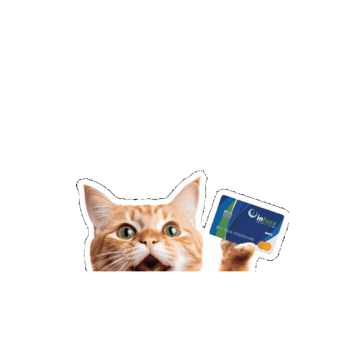 Infuze Credit Union Sticker