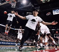 Lebron GIF