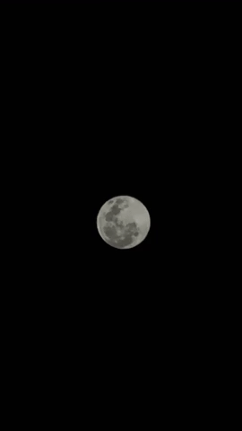 Moon GIF