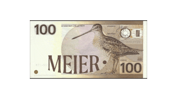 Meier Clothing Sticker