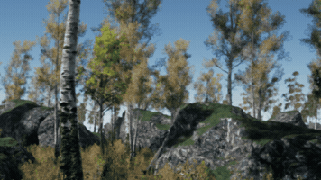 Trees GIF