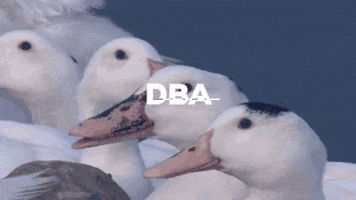 DigitalBusinessAcademy GIF