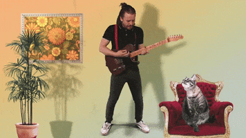 Living Room Cat GIF by Punch Drunk Poets