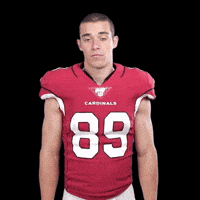 Arizona Cardinals Football GIF by NFL - Find & Share on GIPHY