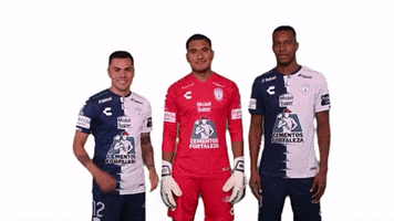 Liga Mx Cf Pachuca GIF by Club Pachuca Tuzos