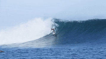 Mick Fanning GIF by Rip Curl