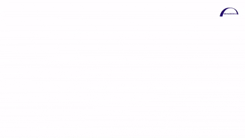 Brokbridge GIF