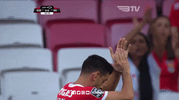 SL_Benfica thumbs up clap clapping benfica GIF