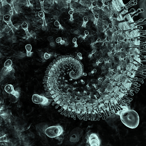 Sick Virus GIF by Feliks Tomasz Konczakowski