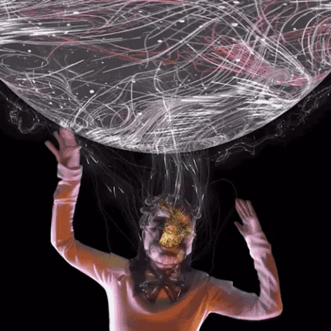 Bjork GIF