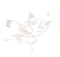 Cat Sticker