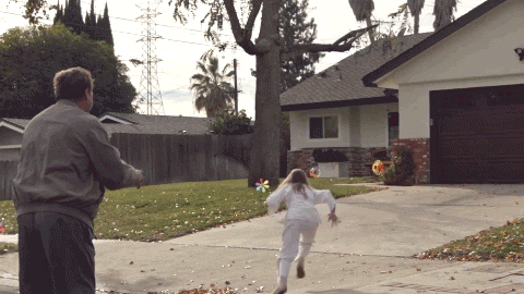 giphy.gif
